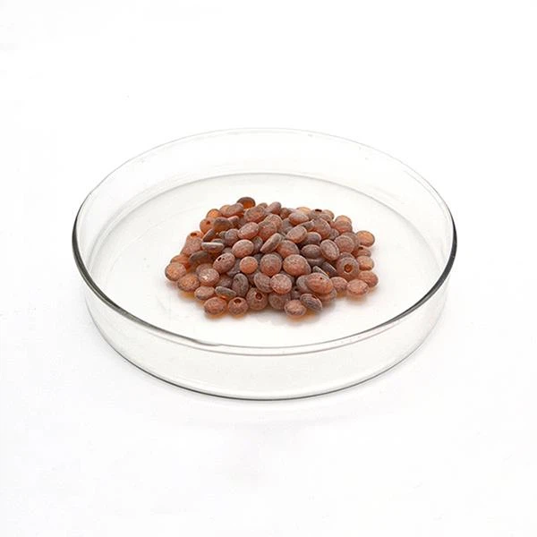 TMQ antioxidant